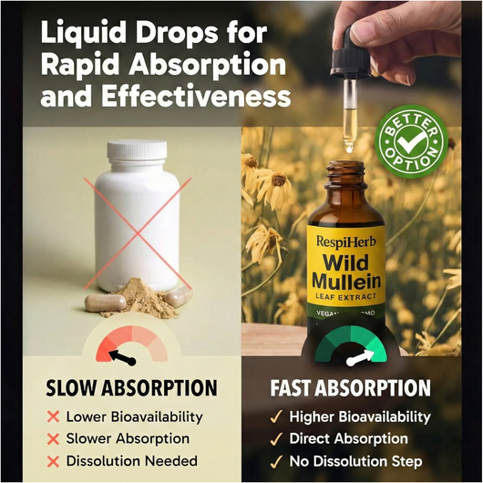 Mullein Lung Detox Drops